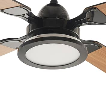 Starluna Tedric Led Deckenventilator Deckenventilator Ventilator Schwarz Eiche B-Ware - 4251911744750