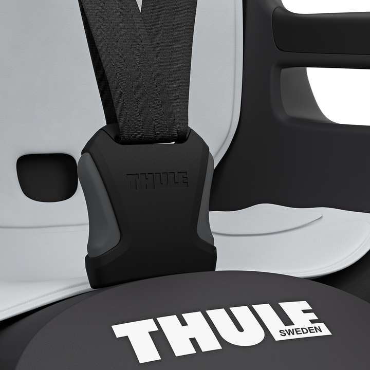 Thule Ride Along 2 Dark Grey Fahrradsitz Kindersitz Kinderfahrradsitz Rad Fahrrad B-Ware - 91021772229